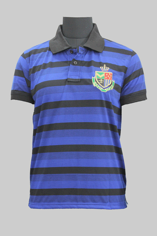 Blue & Black Stripes Short sleeve Polo